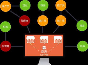 大健康門店拓客系統軟件開發模式解析